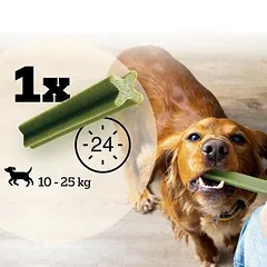 Pedigree Dentastix Fresh kasdienis gaivumas, skanėstai vidutinio dydžio šunims (10-25 kg) — 5 nuotrauka