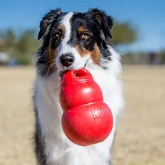 KONG Bounzer žaislas šunims, Größe M: Ø 10 x H 15 cm — 2 nuotrauka
