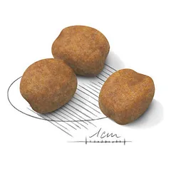 Royal Canin SHN Giant Puppy sausas maistas šuniukams 15 kg — 2 nuotrauka