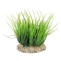 Aqua Della Helanthium grün für Aquarien