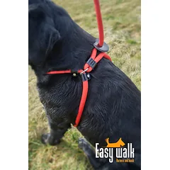 EASY WALK virvinio pavadėlio ir petnešų komplektas šunims, 210 cm, raudonas — 2 nuotrauka