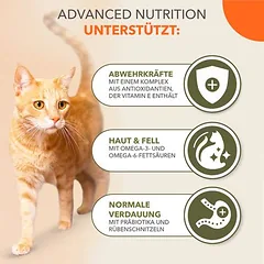 IAMS Advanced Nutrition Grain Free su jūros žuvimi, sausas maistas katėms, 5 - 9,9 kg — 4 nuotrauka