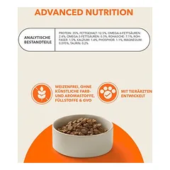 IAMS Advanced Nutrition Senior Cat 7+ su tunu, sausas maistas katėms, 3 - 4,9 kg — 5 nuotrauka