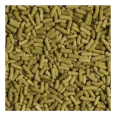 Tropical Biorept L pašaras sausumos vėžliams 5 l (1,4 kg) — 2 nuotrauka