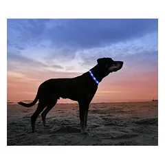 TRIXIE LED ĮKRAUNAMAS ŠVIEČIANTIS antkaklis USB, silikonas, XS-XL 70cm/10mm, mėlynas, 1 vnt. — 2 nuotrauka