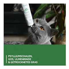 GimCat Gastro Intestinal pasta, skanėstai katėms — 2 nuotrauka