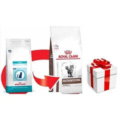 ROYAL CANIN Skin Hairball Gastrointestinal 400g + STAIGMENA KATEI