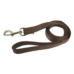 Hamilton Single Thick Leash Short - nailoninis pavadėlis vidutinio dydžio ir didelių veislių šunims, plotis ilgis 122 cm, Czerwony / 25mm — 3 nuotrauka