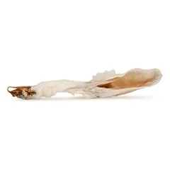 Hau&Miau Puzzo Snack, triušio ausys su kailiu, 20-25 cm, 100g (pak25)