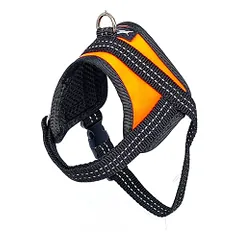 Fleksas oranžinės petnešos šunims, XS, 35 cm — 2 nuotrauka