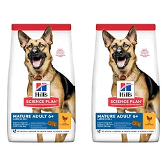 HILL'S Science Plan Canine Mature Adult 6+ Large breed Chicken vyresniems didelių veislių šunims 36 kg (2x18 kg)