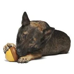 Bark interaktyvus žaislas šunims Gilė, apie L 19 x B 15 x H 10 cm — 2 nuotrauka