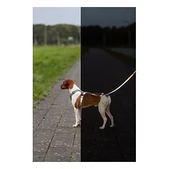 TRIXIE vollreflektierendes Premium Reflect H-Geschirr für Hunde