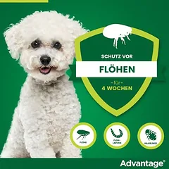 Advantage® 100 šunims, 4-10 kg, Ekonominė pakuotė: 2 x 4 pipetės x 1,0 ml — 4 nuotrauka