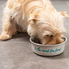TIAKI nerūdijančio plieno dubenėlis „In The Mood For Food“, 850 ml, Ø 17,2 cm — 4 nuotrauka