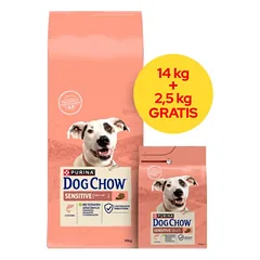 PURINA Dog Chow Adult Sensitive Salmon 16,5kg (14kg+2,5kg NEMOKAMAI!!)