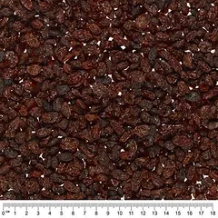 Lillebro lesalo razinos paukščiams, 1 kg — 3 nuotrauka