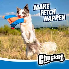 Chuckit! Flying Squirrel M – skraidantis žaislas šunims — 2 nuotrauka