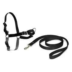 PetSafe Easy Walk pakinktai - pakinktų ir pavadėlio komplektas šunims, Czarny / M — 3 nuotrauka