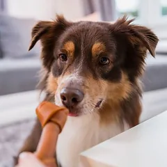 SmartBones šunų kaulas su jautiena vidutinio dydžio šunims — 4 nuotrauka