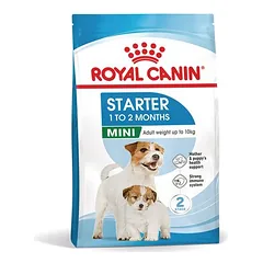 Royal Canin Mini Starter Mother & Babydog sausas maistas šunims, 5 - 9,9 kg — 2 nuotrauka