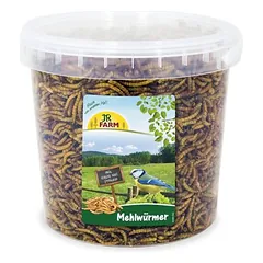 JR Farm Mehlwürmer mit Extra Viel Protein