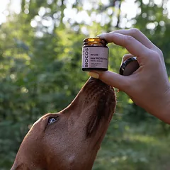 Biocos apsauginis balzamas pėdutėms, 30 ml — 2 nuotrauka