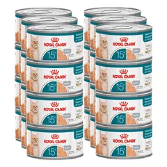 ROYAL CANIN šlapias maistas katėms, „Senior Ageing 15+“, 24x85 g skardinė