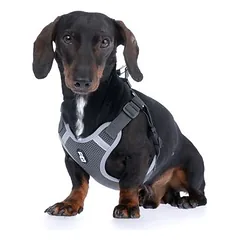 TIAKI petnešos, pilkos, Mažiems 5–10 kg — 3 nuotrauka
