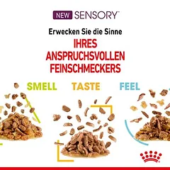 Royal Canin Sensory Smell Taste Feel Multipack padaže, drėgnas maistas katėms — 3 nuotrauka