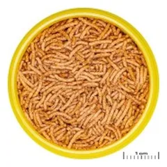 ProNovo Betta Insect Stick S pašaras Betta žuvims (gaideliams) 100 ml — 2 nuotrauka