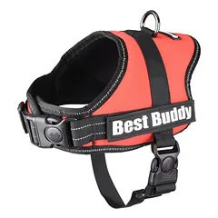 Flamingo Geschirr Best Buddy Pluto rot
