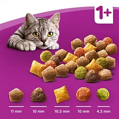 Whiskas 1+ Sterile su vištiena, sausas maistas katėms — 3 nuotrauka