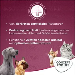 Concept for Life All Cats 10+ padaže, drėgnas maistas katėms — 4 nuotrauka