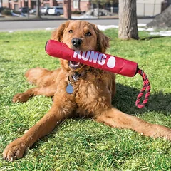 KONG Signature M žaislas šunims lazda su virve 31 cm. — 2 nuotrauka
