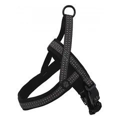 Active Dog Neoprene L/XL (pilka) 3,2×88-100cm neopreno petnešos šunims