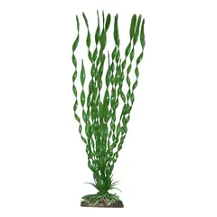 AMTRA VALISNERIA plastikinis augalas labai didelis 33cm 1vnt parduotuvėje Petz.lt
