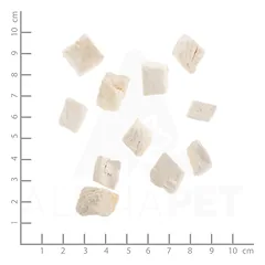 WILDES LAND chicken freeze dried šaltyje džiovinti skanėstai katėms su vištiena, 30 g — 2 nuotrauka