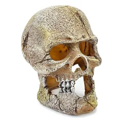 Dekoracija kaukolė 13 cm