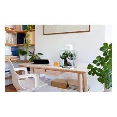 Aquael Shrimp Set Smart Day&Night 30 White akvariumas su įranga krevetėms 30 l — 2 nuotrauka