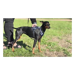 OURDOGSLIFE magnetinės šunų petnešos + 2 m pavadėlis (komplektas), S, mėlyna — 4 nuotrauka