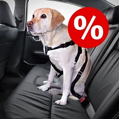 Trixie Autoschondecke + Trixie Hundegurt