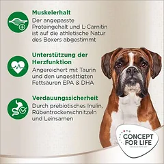 Concept for Life Boxer Adult sausas maistas šunims — 4 nuotrauka