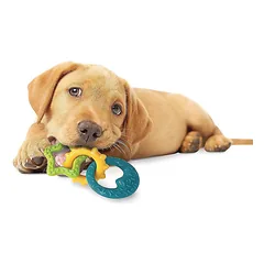 Nylabone Puppy Teething Rings Bacon - teething toy for puppies, bacon flavor — 4 nuotrauka