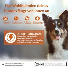 Wellness Core Dog Original su kalakutiena ir vištiena, sausas maistas šunims — 4 nuotrauka