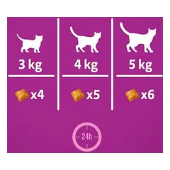 Whiskas Snacks Pounce & Play, skanėstai katėms — 4 nuotrauka