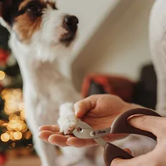 HUNTER Nail scissors SPA žirklės augintinio nagams karpyti, S — 3 nuotrauka