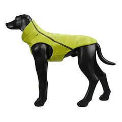Icepeak Pet Lite Outdoor Hundemantel, lime