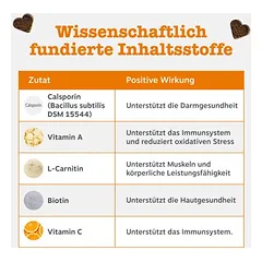 Zesty Paws 5-in-1 Chews su kalakutiena, papildas — 2 nuotrauka
