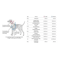 TRIXIE Premium One Touch petnešos, XS-S 30-40cm/10mm, grafito — 2 nuotrauka